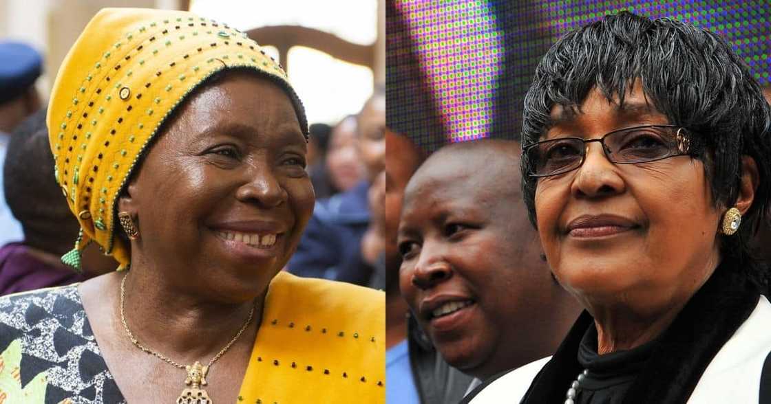 Dlamini Zuma: Renaming Mbizana Municipality good for 'service delivery' Dlamini Zuma: Renaming Mbizana Municipality good for 'service delivery'