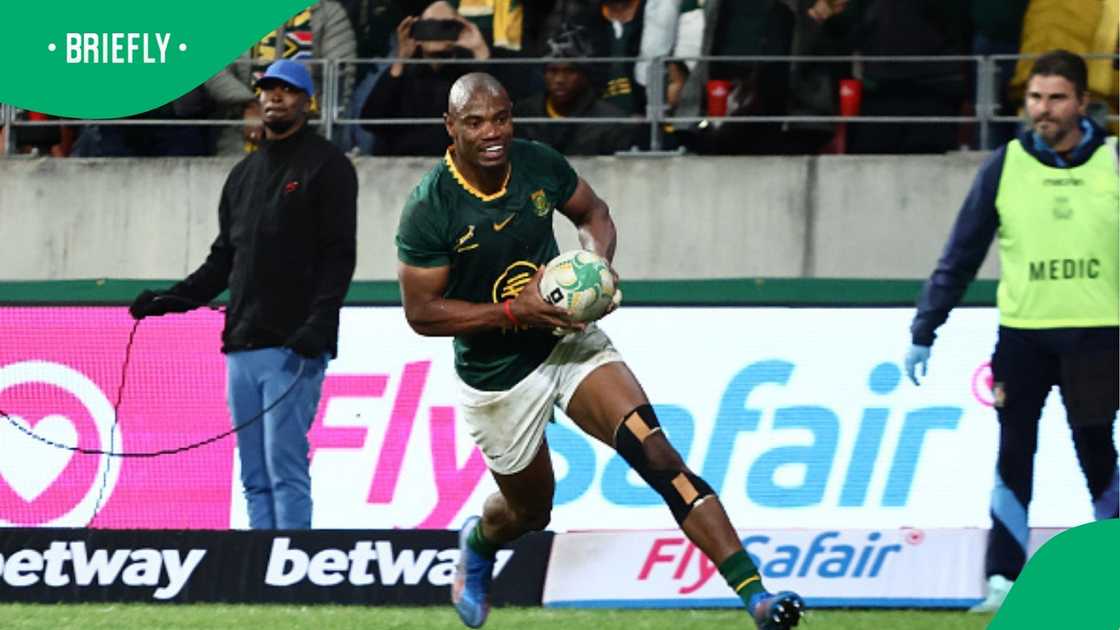 Makazole Mapimpi in action during Springboks' clash with Italy. Makazole Mapimpi in action during Springboks' clash with Italy.