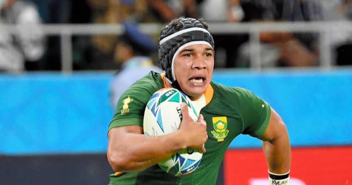 Cheslin Kolbe, Springboks, rugby, British & Irish Lions