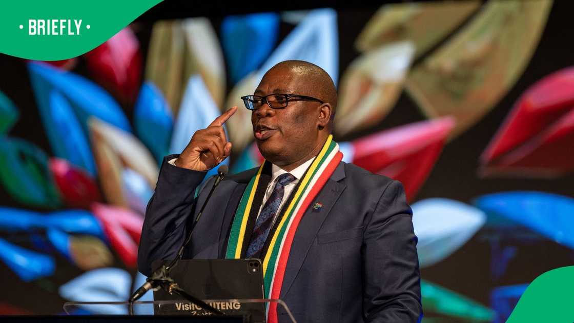 Gauteng Premier Panyaza Lesufi weighed in on foreign nationals in the country's healthcare system Gauteng Premier Panyaza Lesufi weighed in on foreign nationals in the country's healthcare system