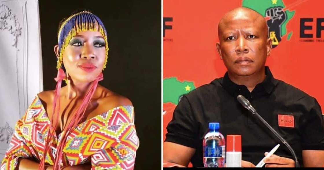 Ntsiki Mazwai slams Julius Malema Ntsiki Mazwai slams Julius Malema