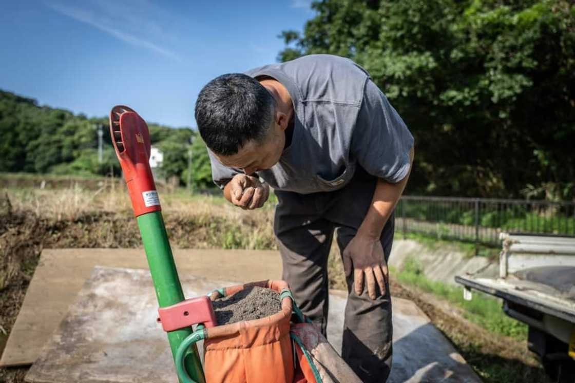 Shimogoe is made from a combination of treated sewage sludge from septic tanks and human waste from cesspits Shimogoe is made from a combination of treated sewage sludge from septic tanks and human waste from cesspits