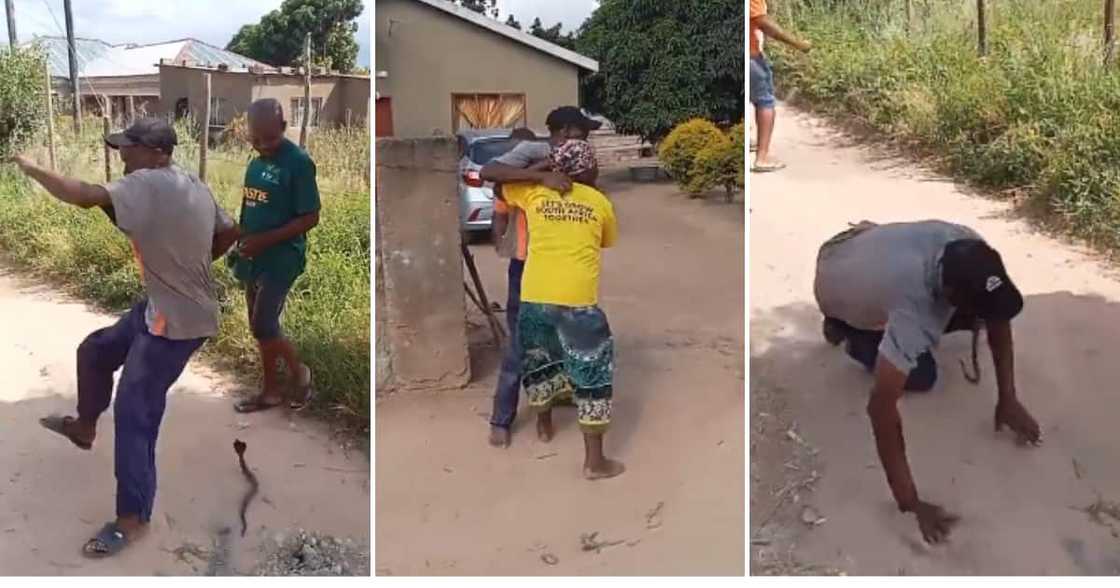 Twitter user @pmcafrica shared video of the man freaking out at the snake prank Twitter user @pmcafrica shared video of the man freaking out at the snake prank