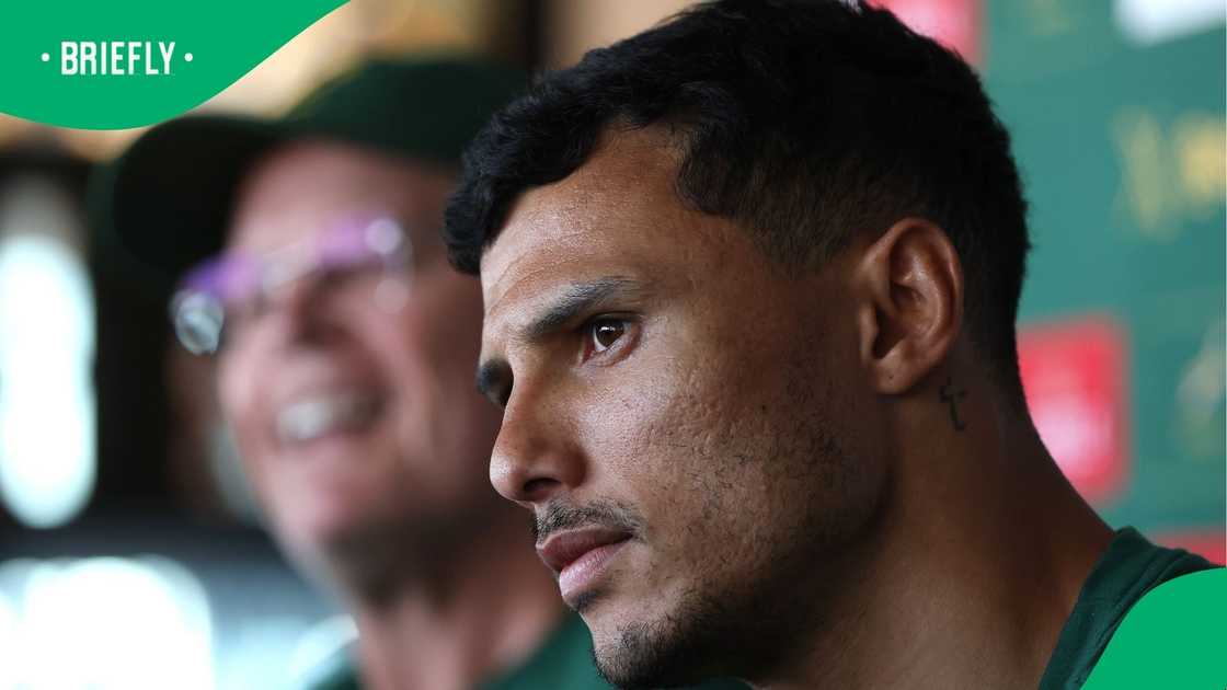Rassie Erasmus, Springboks, South Africa, Embrose Papier Rassie Erasmus, Springboks, South Africa, Embrose Papier