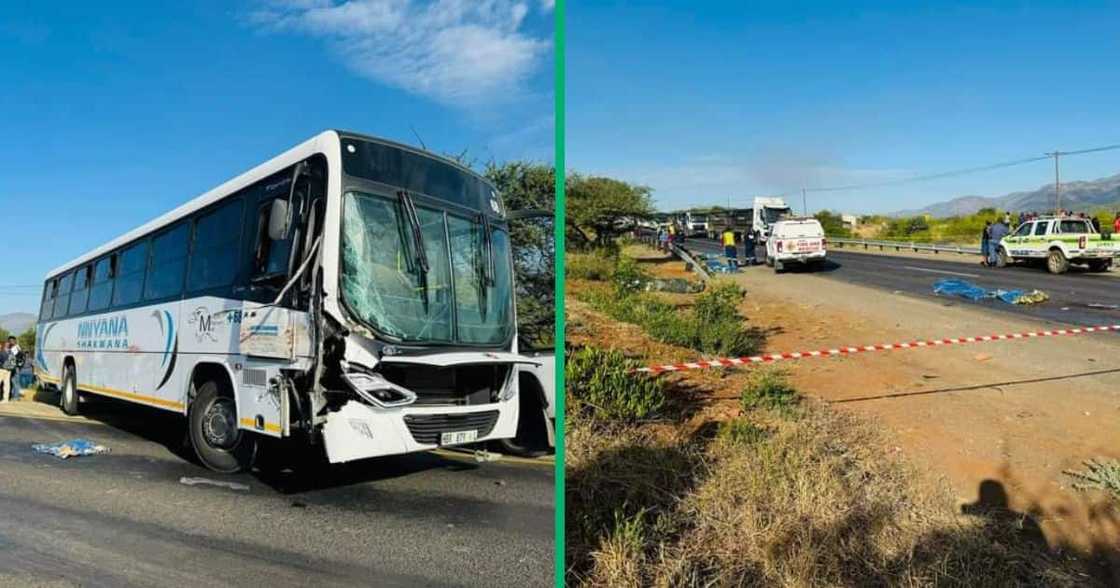 Eight people died in a Limpopo accident between a bus and a truck Eight people died in a Limpopo accident between a bus and a truck