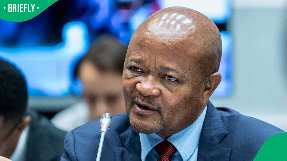 Mary de Haas was also asked about Senzo Mchunu Mary de Haas was also asked about Senzo Mchunu