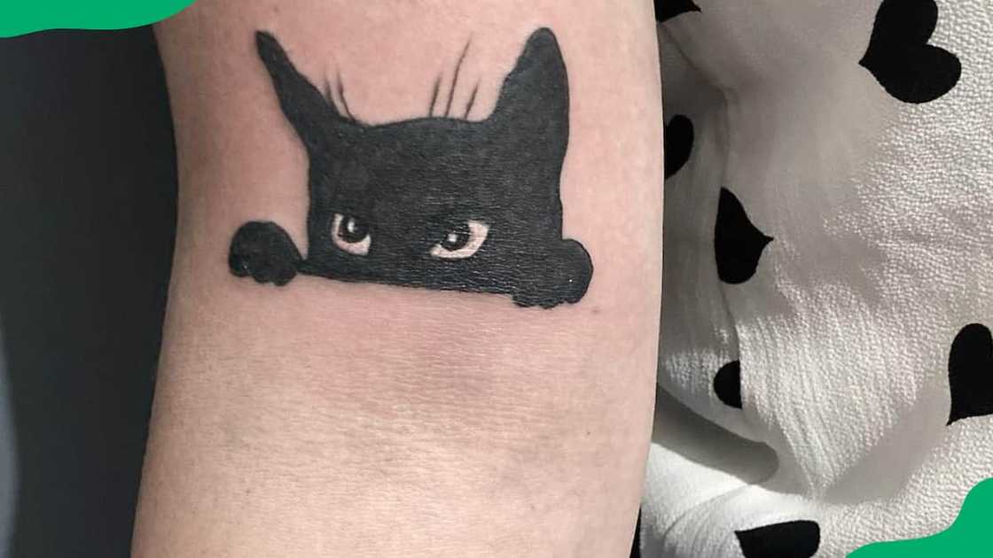 The peeking cat tattoo The peeking cat tattoo
