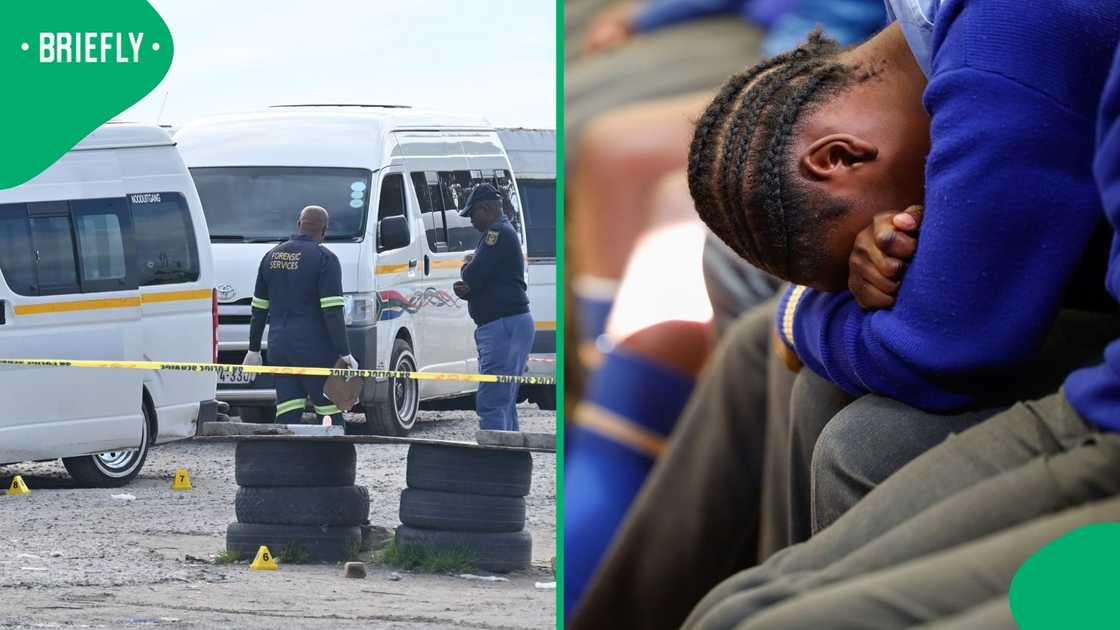 Taxi violence in the Western Cape has impacted education Taxi violence in the Western Cape has impacted education