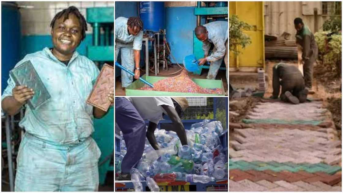Her waste-produced bricks are solid. Her waste-produced bricks are solid.