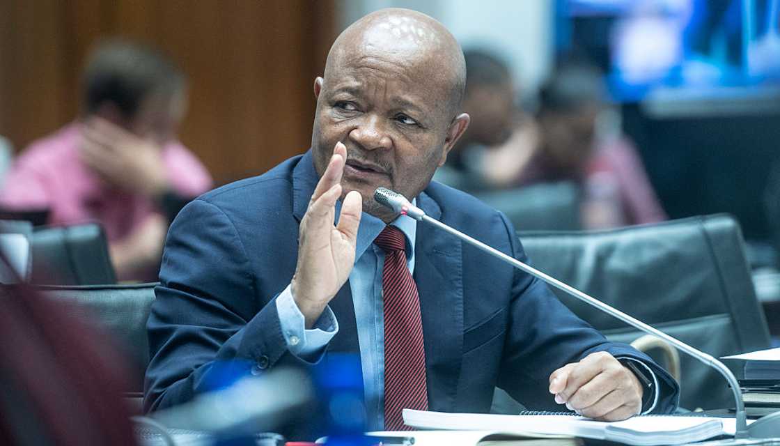 Senzo Mchunu testified at the Ad Hoc Committee