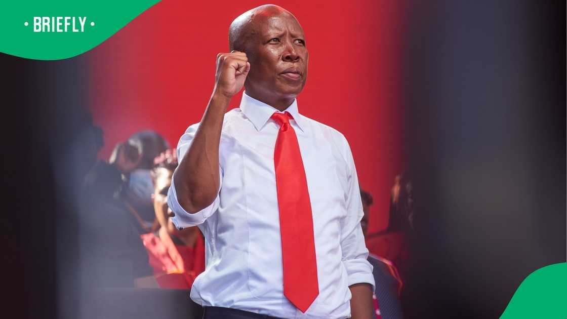 Economic Freedom Fighters leader Julius Malema is not giving up.