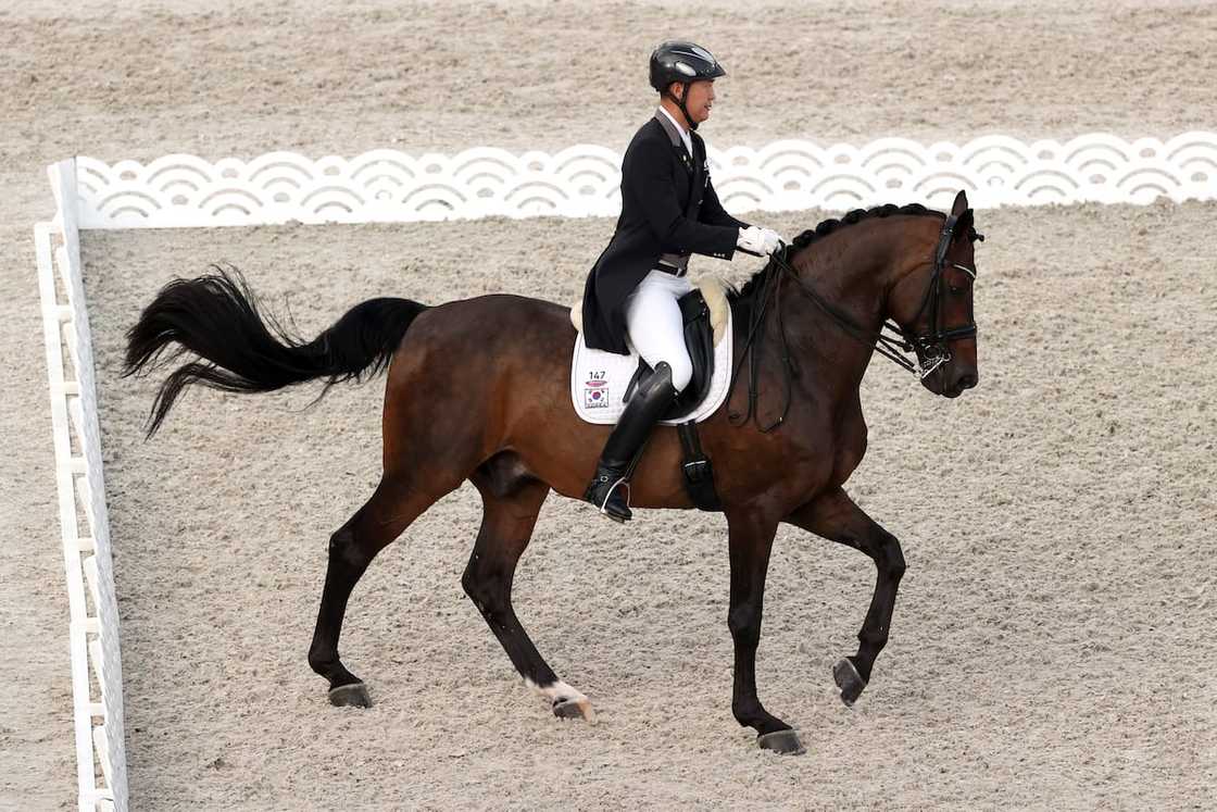 Summer Olympic sports list Summer Olympic sports list
