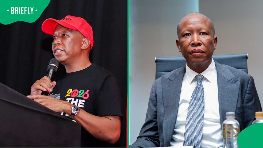 Economic Freedom Fighters president Julius Malema was sentenced to five years' imprisonment Economic Freedom Fighters president Julius Malema was sentenced to five years' imprisonment