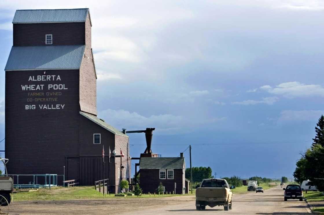 Canada saw a rebound in grain shipments in September following last year's poor harvest