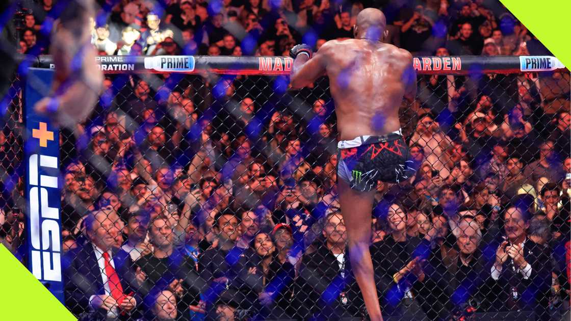 Donald Trump, Elon Musk, Jon Jones, UFC309, Stipe Miocic, Madison Square Garden, New York, USA. Donald Trump, Elon Musk, Jon Jones, UFC309, Stipe Miocic, Madison Square Garden, New York, USA.