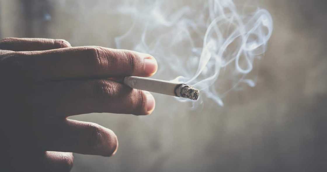New Zealand, Ban, Sale, Teenagers, Cigarettes, Nicotene, Citizens, Oceanic, Pacific, Smoking, Law New Zealand, Ban, Sale, Teenagers, Cigarettes, Nicotene, Citizens, Oceanic, Pacific, Smoking, Law