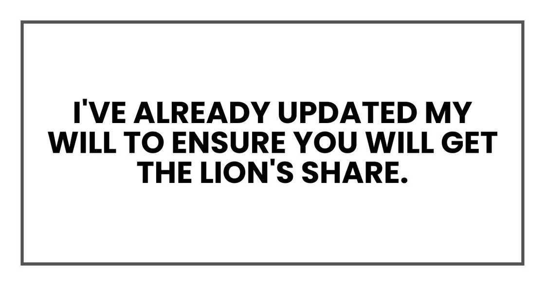 I've already updated my will to ensure you will get the lion's share. I've already updated my will to ensure you will get the lion's share.