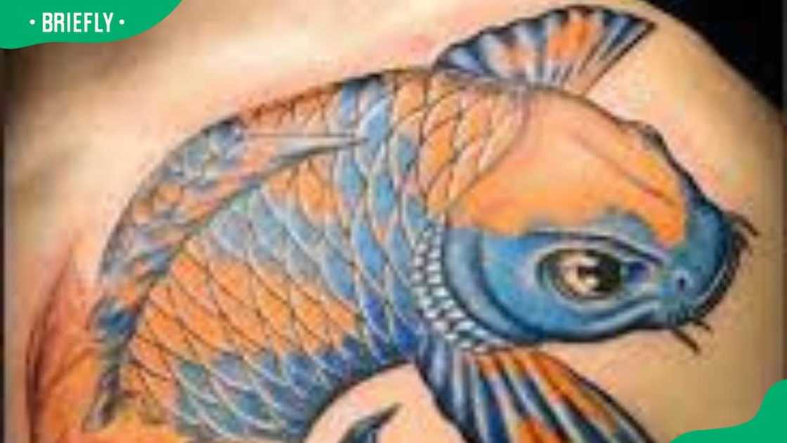 How painful is getting your chest tattooed? How painful is getting your chest tattooed?