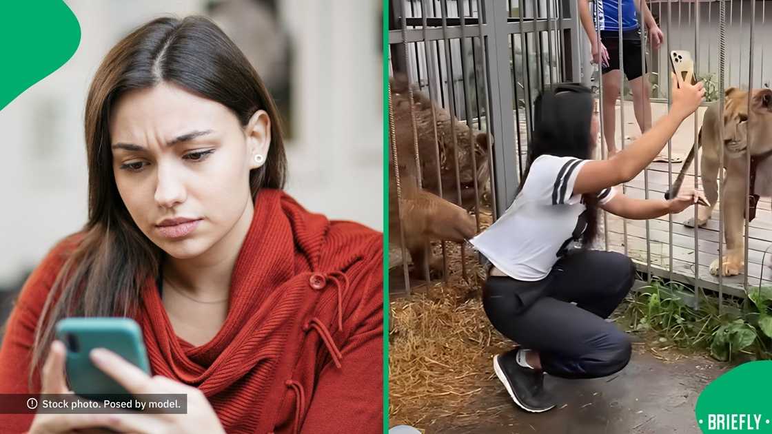 Facebook users called for those keeping animals in cages to release them Facebook users called for those keeping animals in cages to release them