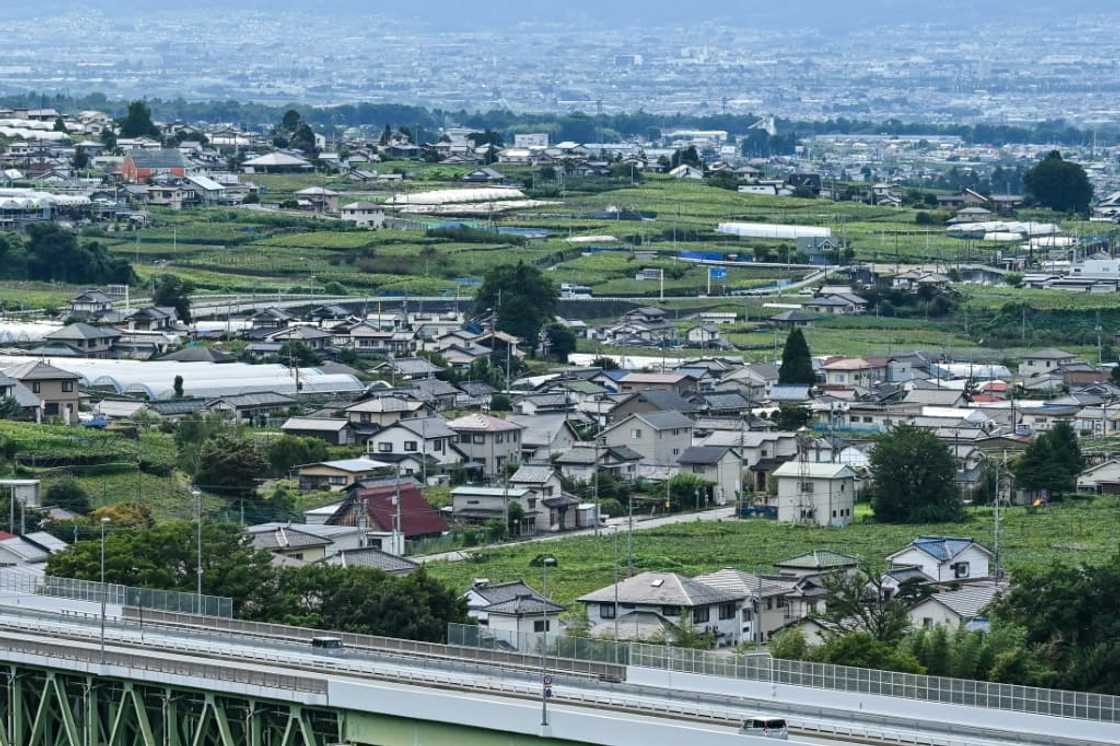 Around 90 producers compete to supply a burgeoning market for local wine, with many vineyards squeezed into rural corridors between built-up areas