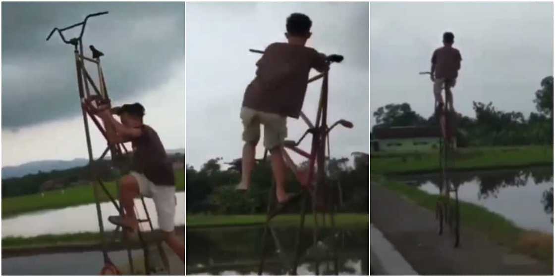 The young boy rode his tall bicycle effortlessly The young boy rode his tall bicycle effortlessly