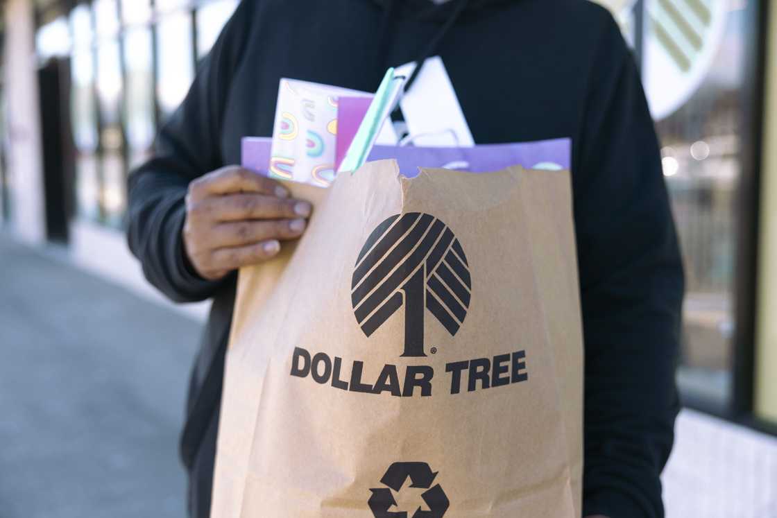 Dolla Tree shopping Dolla Tree shopping