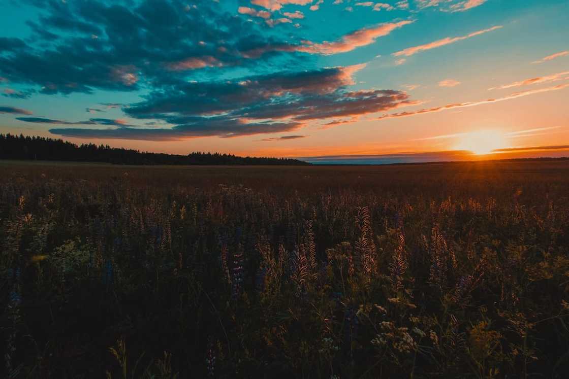 Weather and seasons in South Africa: Here's all you need to know Weather and seasons in South Africa: Here's all you need to know