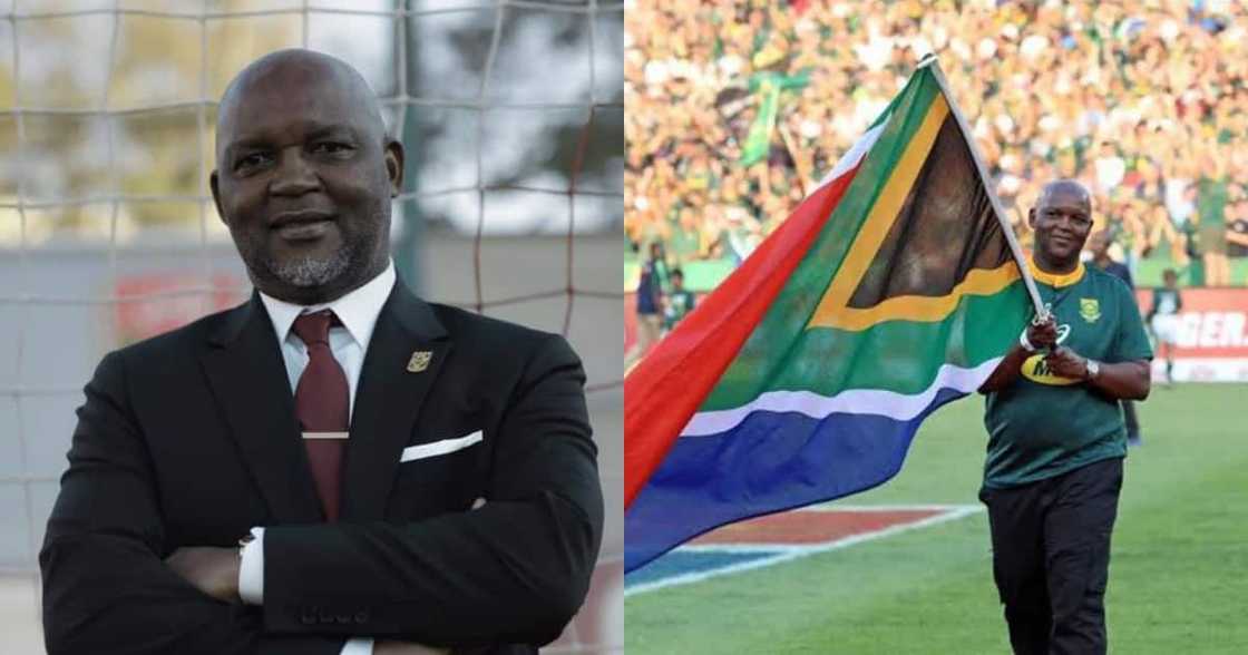 Pitso Mosimane Recommended as Bafana Bafana Head Coach by SAFA Thinktank Pitso Mosimane Recommended as Bafana Bafana Head Coach by SAFA Thinktank