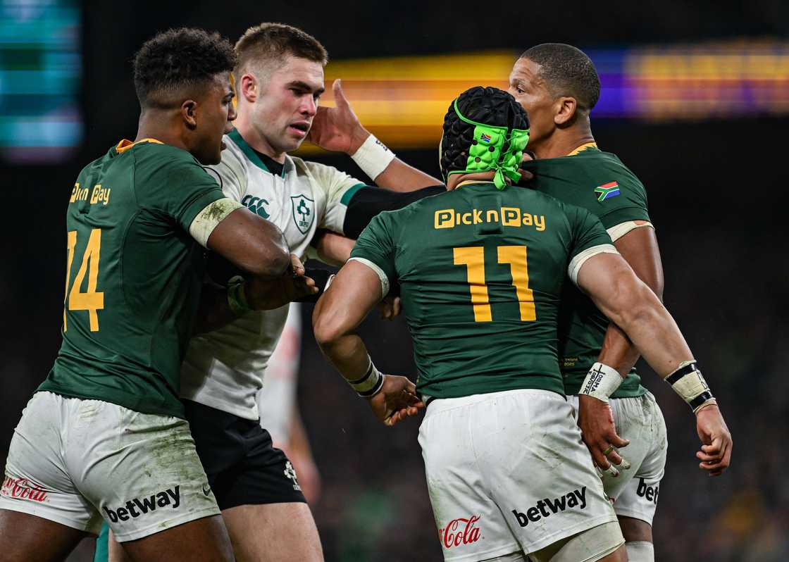 Springboks Springboks