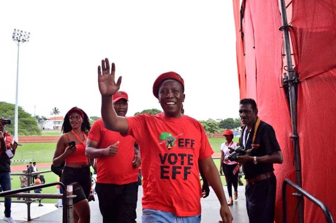 EFF governance