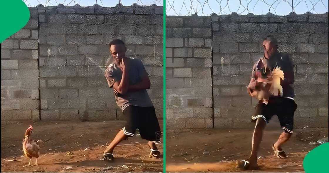 Man catches chicken in a unique way