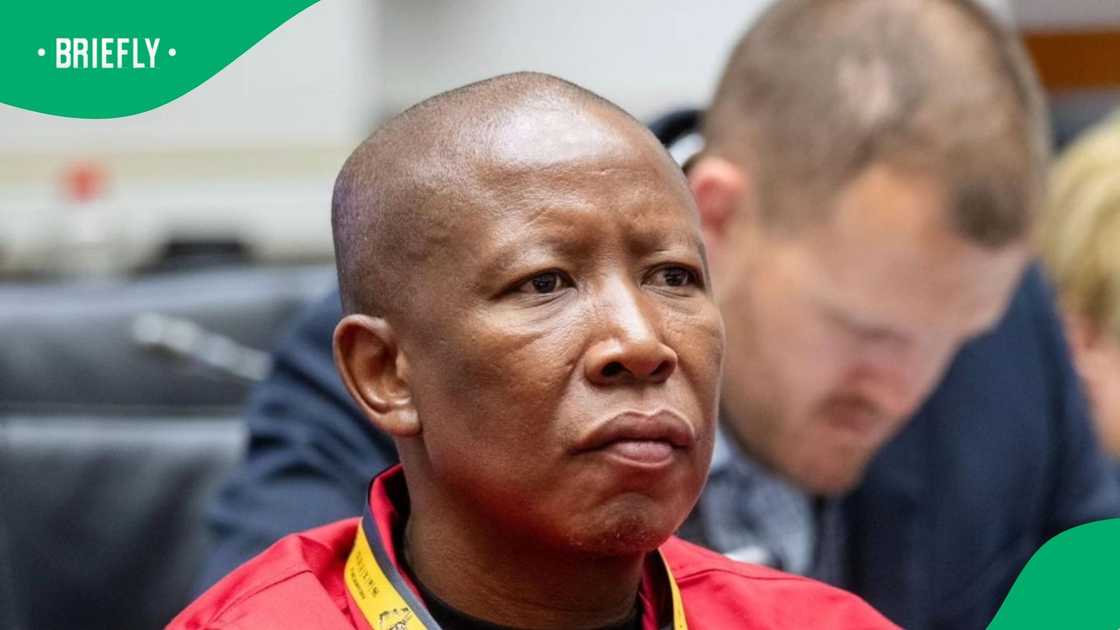 Economic Freedom Fighters president Julius Malema slammed Cedrick Nkabinde