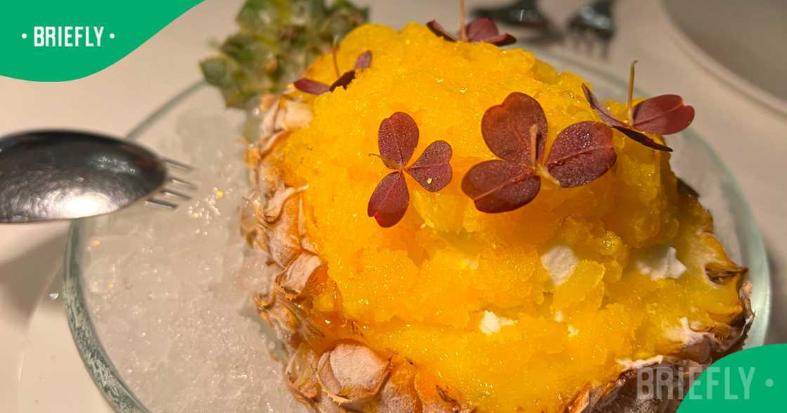 MINA offers the best dining in the International Financial District of Dubai