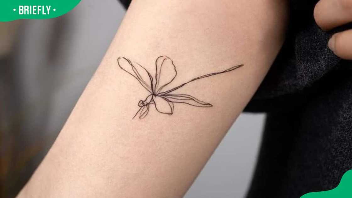 Simple dragonfly tattoo Simple dragonfly tattoo