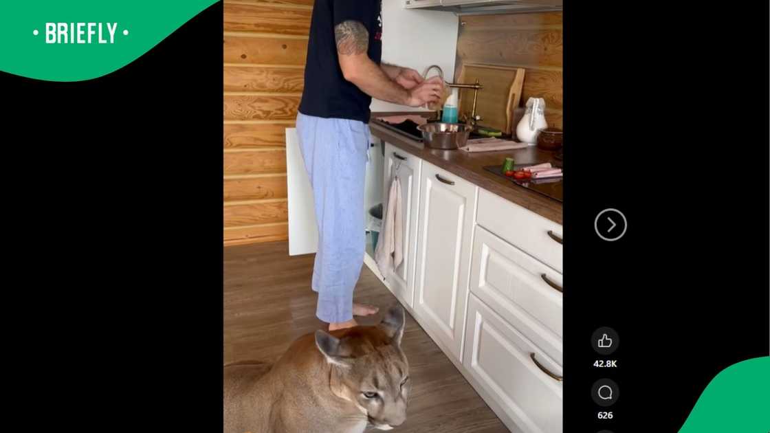 A post went viral. A post went viral.