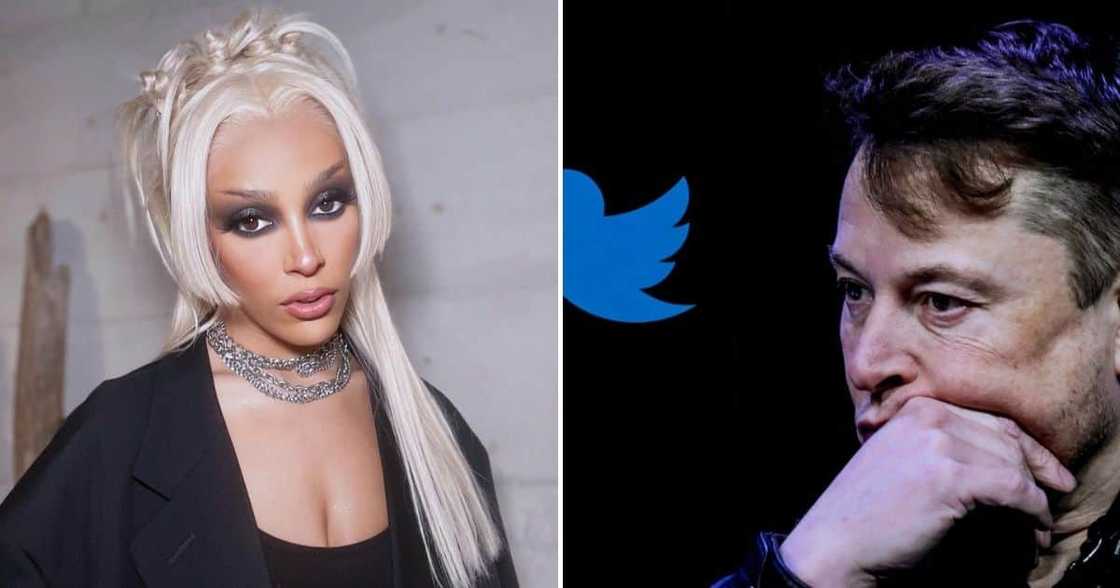 Doja Cat and Elon Musk Twitter