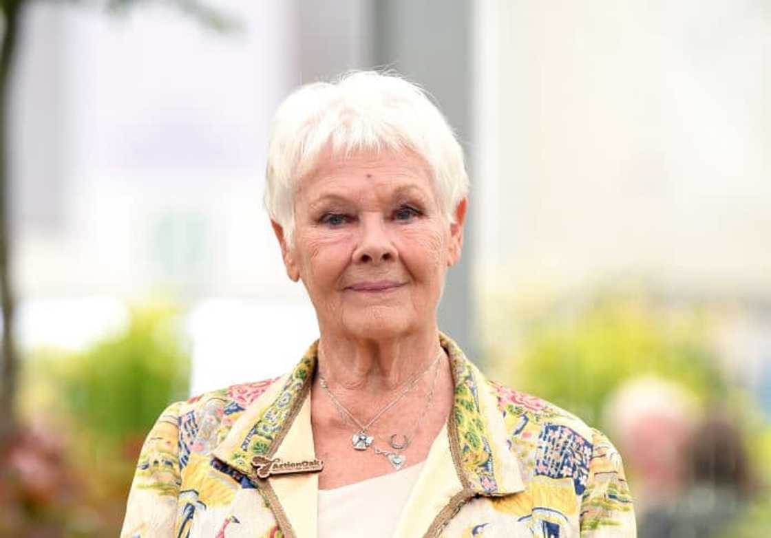 Judy Dench at the RHS Chelsea Flower Show