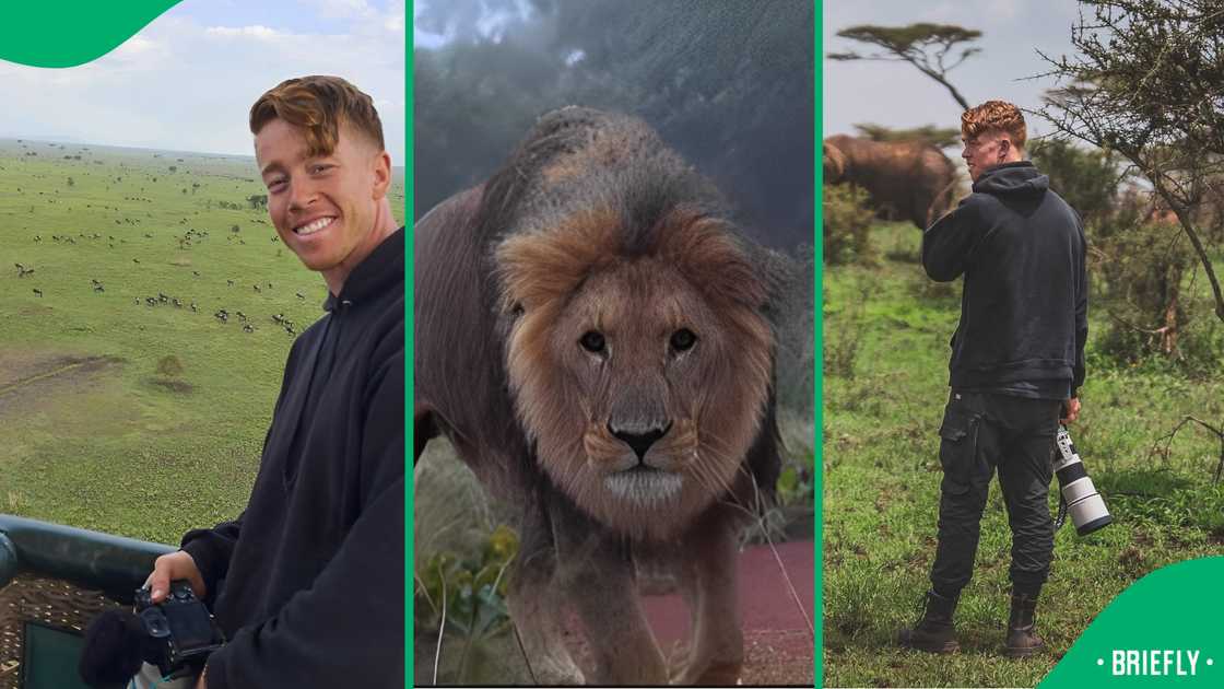 Instagram users were happy that an animal lover wasn't harmed by a massive lion Instagram users were happy that an animal lover wasn't harmed by a massive lion