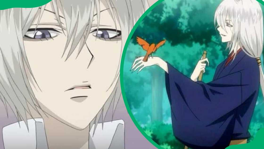 Tomoe from Kamisama Kiss