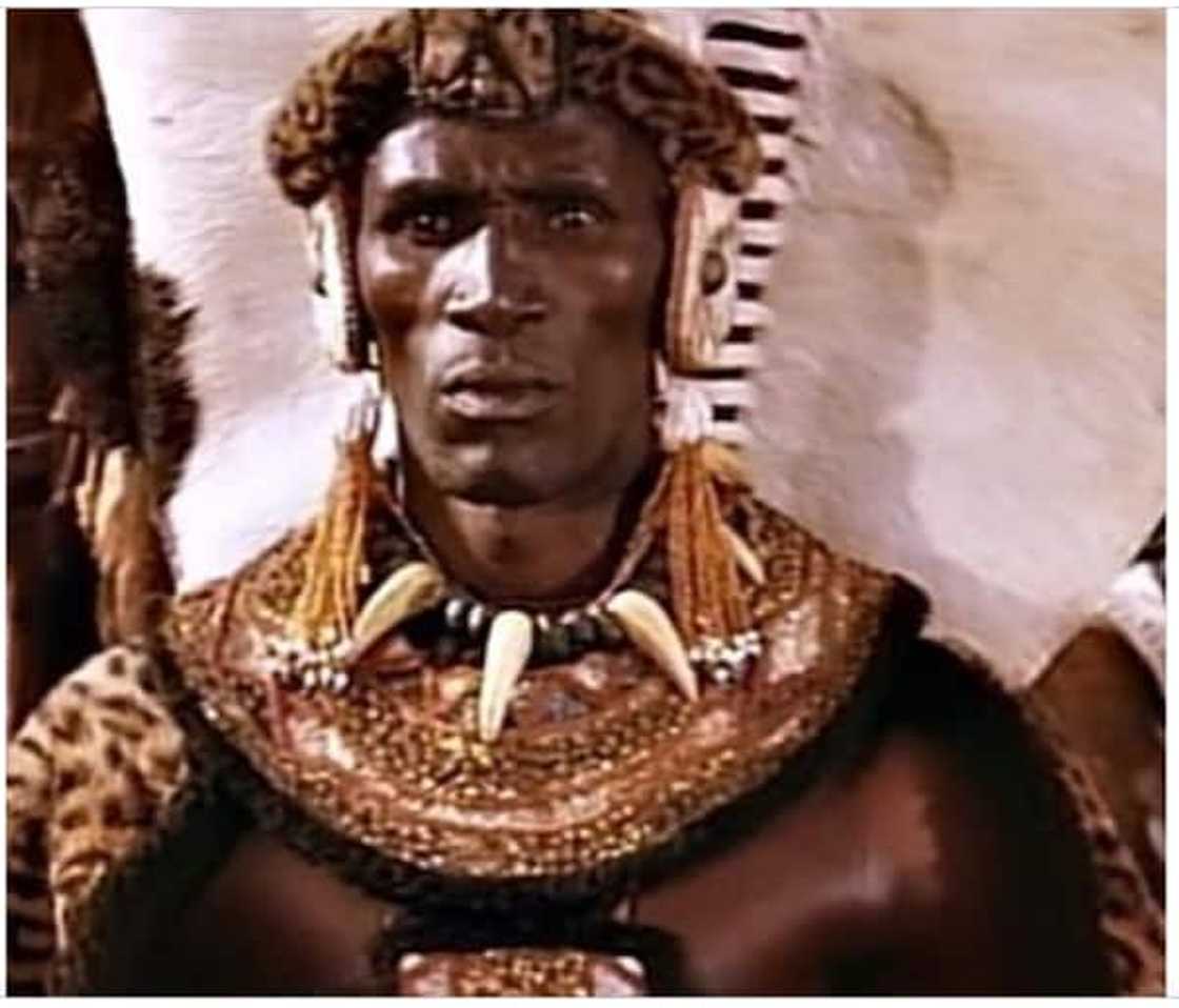 Shaka Zulu Shaka Zulu
