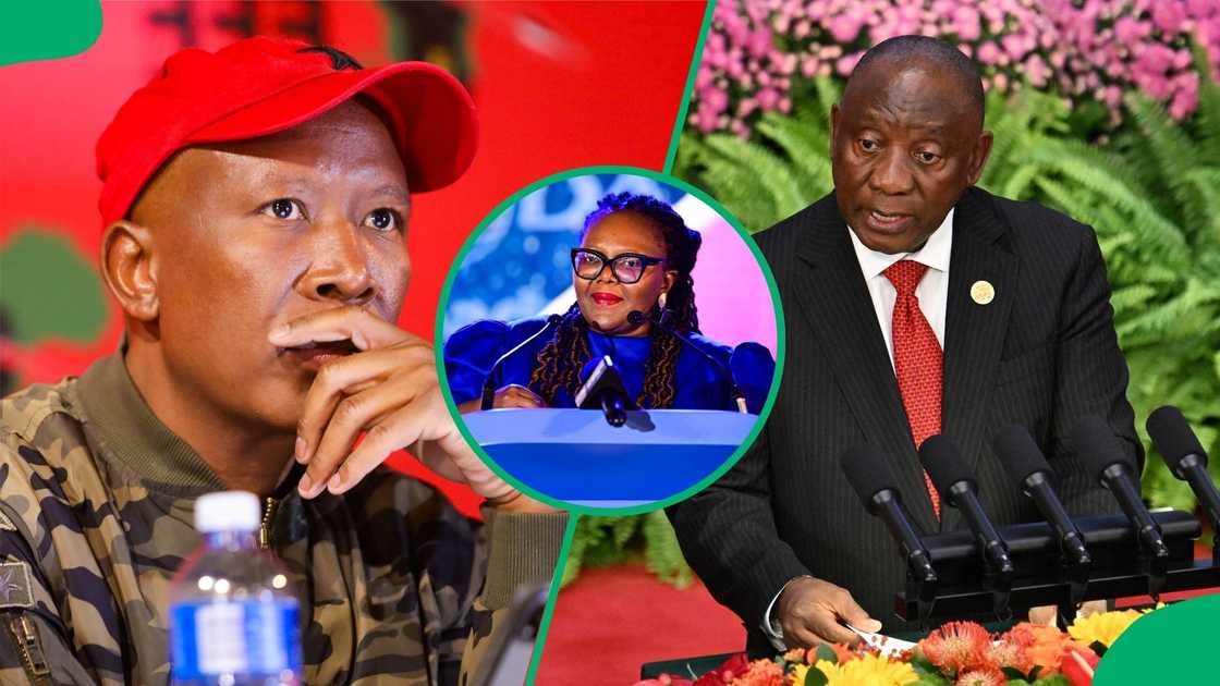 Julius Malema said Siviwe Gwarube's refusal to attend the signing of the Bela Bill was a bad omen for the GNU Julius Malema said Siviwe Gwarube's refusal to attend the signing of the Bela Bill was a bad omen for the GNU