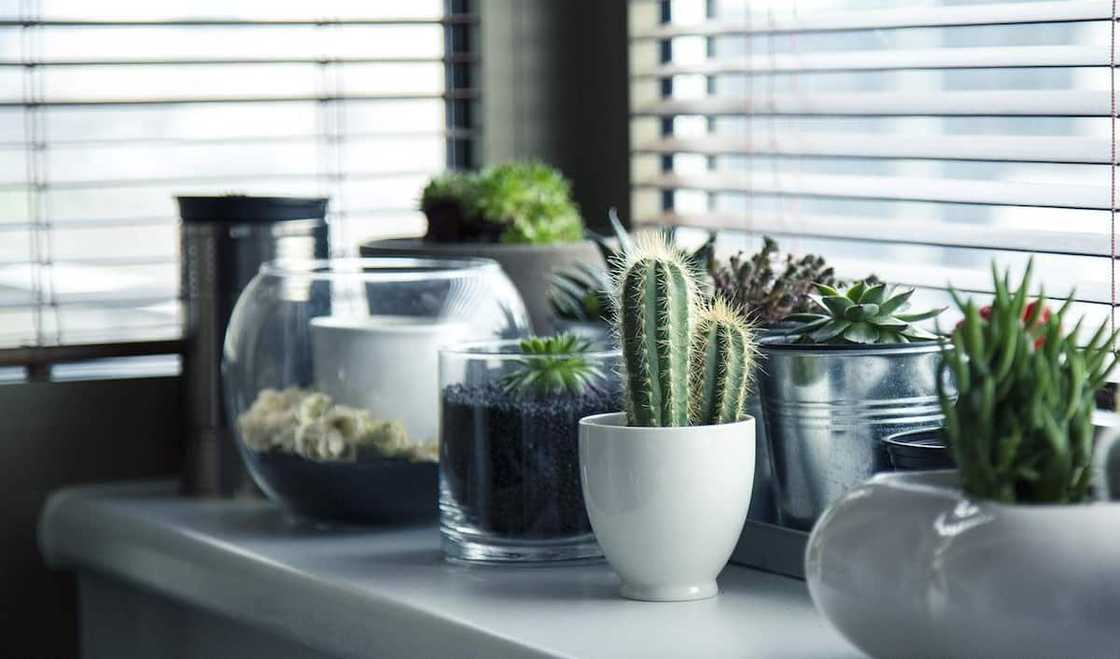 products to sell from home in SA products to sell from home in SA
