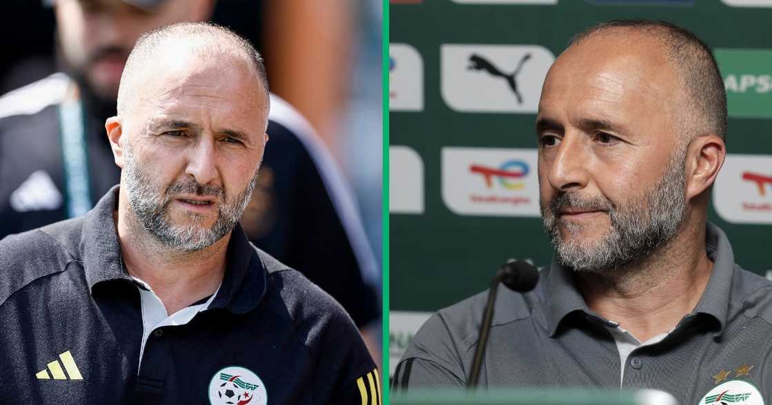 Coach Djamel Balmadi was attacked for the poor tournament showing Coach Djamel Balmadi was attacked for the poor tournament showing