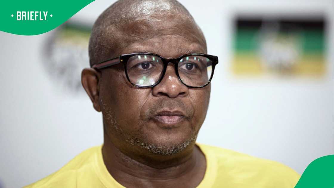 ANC, Africa National Congress, Fikile Mbalula, Springboks