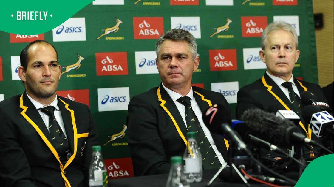 Springboks, Heyneke Meyer, South Africa Springboks, Heyneke Meyer, South Africa