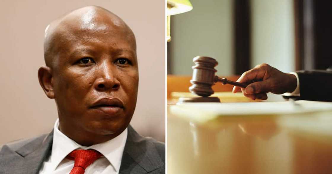 The Supreme Court of Appeal has dismissed the EFF's bid to overturn AfriForum's land invasion interdict The Supreme Court of Appeal has dismissed the EFF's bid to overturn AfriForum's land invasion interdict