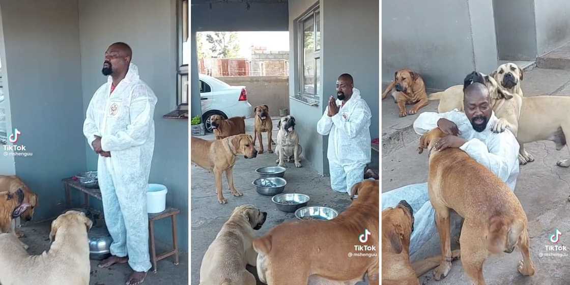 Dog owner says a prayer Dog owner says a prayer