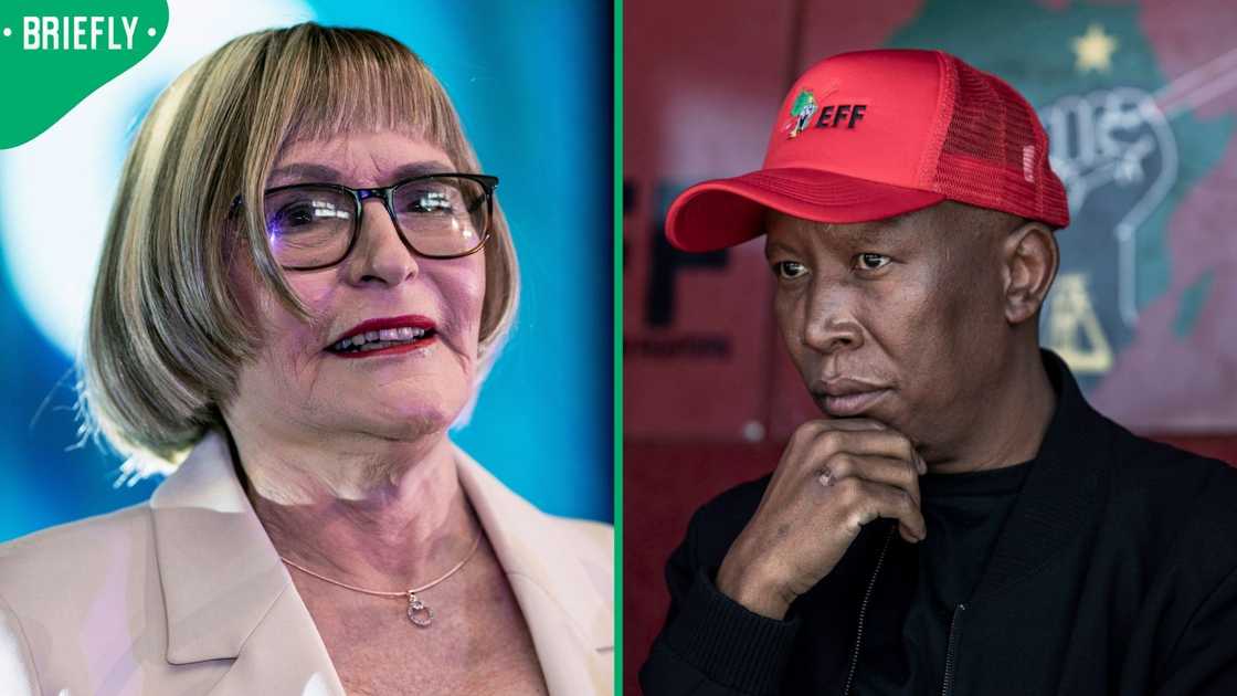 Julius Malema questioned Helen Zille’s bid to become Johannesburg Mayor