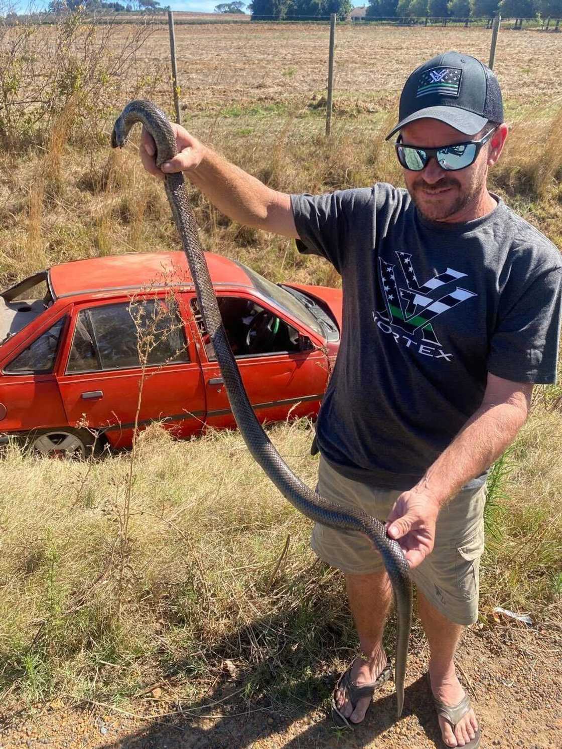 A snake expert holding a massive snake in a picture.