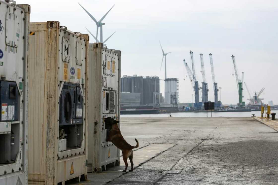 Antwerp is reputed to be the principal port of entry to Europe for cocaine from Latin America Antwerp is reputed to be the principal port of entry to Europe for cocaine from Latin America